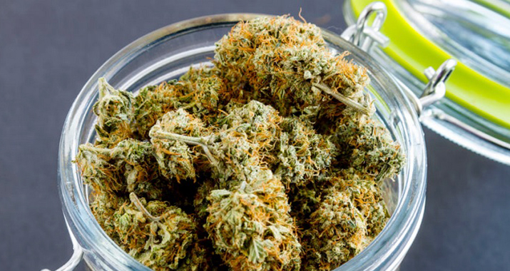 Oregon Recreational Marijuana