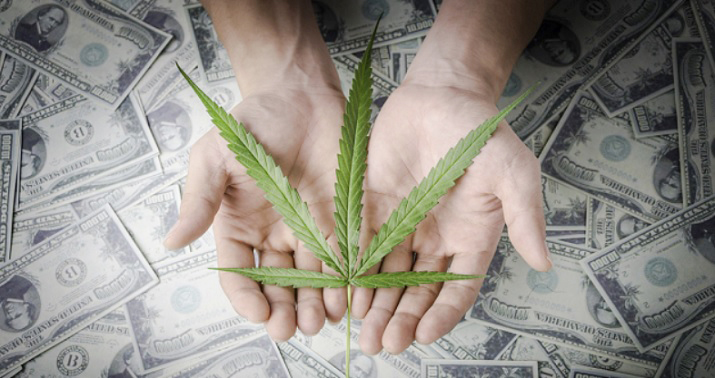 Money Marijuana Market