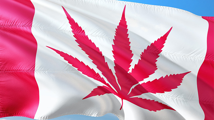 Canada Cannabis Company
