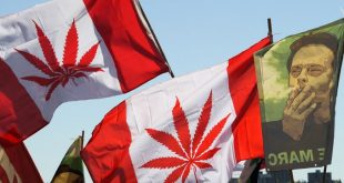 Canada Marijuana AZ