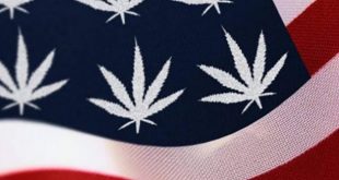 Marijuana Poll