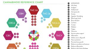 Cannabinoid Chart