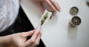 Cannabis Survey