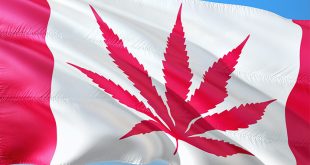 Canada Cannabis Company