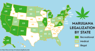 State Cannabis Legalization Map